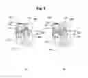 Fig. 07 - Joint actuator, and joint structure of leg-supporting robot comprising same