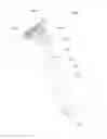 Fig. 01 - Shaving apparatus