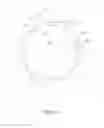 Fig. 11 - Shaving apparatus