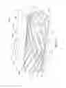 Fig. 12 - Shaving apparatus