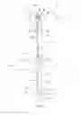 Fig. 06 - Shaving device