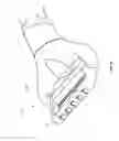 Fig. 91 - Shaving device
