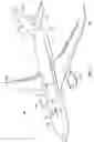 Fig. 02 - Reinforced bladder