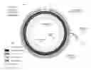 Fig. 01 - SYSTEM AND METHOD FOR TIRE RETREADING