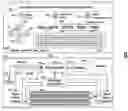 Fig. 01 - WALLET CARD DEVICE AND SYSTEM WITH DYNAMIC MAGNETIC STRIPE COMMUNICATIONS DEVICE