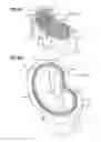 Fig. 09 - Fuel tank