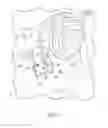Fig. 02 - Autonomous sensing vehicle pedals