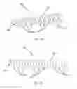 Fig. 09 - LIQUID CAPTURE APPARATUS FOR USE WITH A VACUUM SEALER