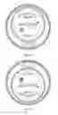 Fig. 16 - Food container system