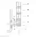 Fig. 01 - PLATFORM FOR BAGGAGE CART AND BAGGAGE HANDLING SYSTEM AND METHOD OF USING THE SAME