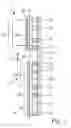 Fig. 02 - Guide rail for an elevator system