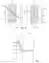 Fig. 06 - Guide rail for an elevator system