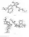 Fig. 02 - Axially chiral isomers, and preparation methods therefor and pharmaceutical uses thereof