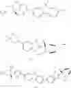 Fig. 59 - METHOD OF PREPARATION FOR LEDIPASVIR AND DERIVATIVE THEREOF, AND INTERMEDIATE COMPOUND FOR PREPARATION OF LEDIPASVIR