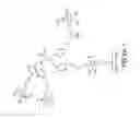 Fig. 07 - Tetragalnac and peptide containing conjugates and methods for delivery of oligonucleotides