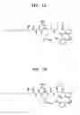 Fig. 02 - Peptide compound, production method therefor, and use thereof