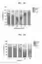 Fig. 04 - Peptide compound, production method therefor, and use thereof