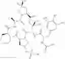 Fig. 147 - Substituted urea depsipeptide analogs as activators of the CLPP endopeptidase