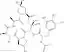 Fig. 15 - Substituted urea depsipeptide analogs as activators of the CLPP endopeptidase