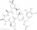 Fig. 19 - Substituted urea depsipeptide analogs as activators of the CLPP endopeptidase