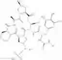 Fig. 200 - Substituted urea depsipeptide analogs as activators of the CLPP endopeptidase