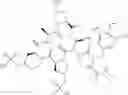 Fig. 216 - Substituted urea depsipeptide analogs as activators of the CLPP endopeptidase
