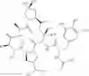 Fig. 241 - Substituted urea depsipeptide analogs as activators of the CLPP endopeptidase