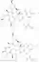 Fig. 29 - Substituted urea depsipeptide analogs as activators of the CLPP endopeptidase