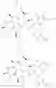 Fig. 34 - Substituted urea depsipeptide analogs as activators of the CLPP endopeptidase
