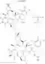 Fig. 443 - Substituted urea depsipeptide analogs as activators of the CLPP endopeptidase