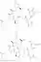 Fig. 48 - Substituted urea depsipeptide analogs as activators of the CLPP endopeptidase