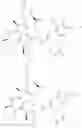 Fig. 49 - Substituted urea depsipeptide analogs as activators of the CLPP endopeptidase