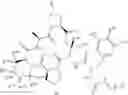 Fig. 60 - Substituted urea depsipeptide analogs as activators of the CLPP endopeptidase