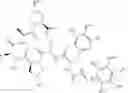 Fig. 62 - Substituted urea depsipeptide analogs as activators of the CLPP endopeptidase