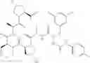 Fig. 644 - Substituted urea depsipeptide analogs as activators of the CLPP endopeptidase