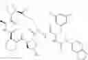 Fig. 652 - Substituted urea depsipeptide analogs as activators of the CLPP endopeptidase