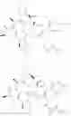 Fig. 76 - Substituted urea depsipeptide analogs as activators of the CLPP endopeptidase