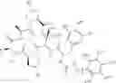 Fig. 77 - Substituted urea depsipeptide analogs as activators of the CLPP endopeptidase
