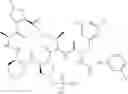 Fig. 828 - Substituted urea depsipeptide analogs as activators of the CLPP endopeptidase