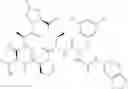 Fig. 871 - Substituted urea depsipeptide analogs as activators of the CLPP endopeptidase