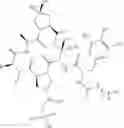 Fig. 93 - Substituted urea depsipeptide analogs as activators of the CLPP endopeptidase