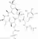 Fig. 95 - Substituted urea depsipeptide analogs as activators of the CLPP endopeptidase
