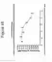 Fig. 49 - Growth differentiation factor 15 (GDF-15) constructs