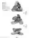Fig. 12 - Antibody-mediated neutralization of Chikungunya virus