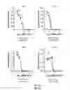 Fig. 18 - Antibody-mediated neutralization of Chikungunya virus