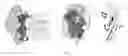 Fig. 03 - Anti-IL-12 Antibodies, Epitopes, Compositions, Methods and Uses
