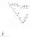 Fig. 07 - Bonding tissues and cross-linking proteins with naphthalimide compounds