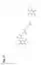 Fig. 22 - Bonding tissues and cross-linking proteins with naphthalimide compounds