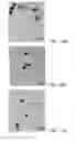 Fig. 17 - Stimulus-responsive poly(lactic-co-glycolic)-based polymers and nanoparticles formed therefrom