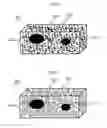 Fig. 04 - Porous materials and method of making porous materials